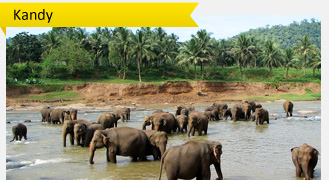 Kandy Sri Lanka