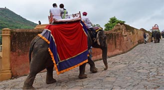 Elephant ride at Amer fort