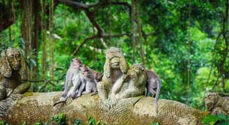 Ubud Monkey Forest